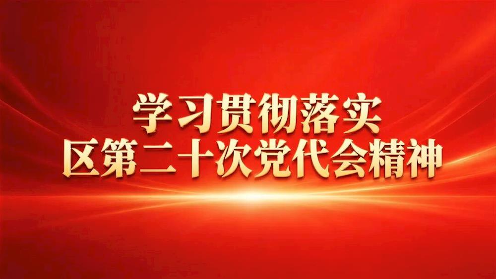 【学习贯彻落实区第二十次党代会精神】立足新起点 展现新作为 为平山全面振兴取得新突破提供坚强组织保障